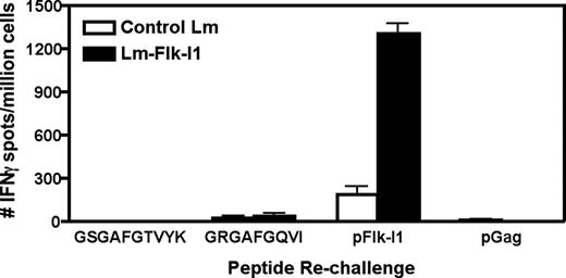 FIGURE 6. Flk-1 vaccine-induced epitope spreading may not be due to cross-reactivity between Flk-1 and Her-2/neu shared domains. Mice were immunized thrice with either control Lm or Flk-I1 vaccine. Splenocytes were processed and rechallenged ex vivo for the secretion of IFN-γ in response to peptide challenge. Peptides included were the previously mapped pFlk-I1 epitope (PGGPLMVIV), a putative pIC1 epitope for Her-2/neu (GSGAFGTVYK) or the epitope in question, a putative shared epitope between the Her-2/neu and Flk-1 kinase domains (GRGAFGQVI), and a third-party epitope used as a negative control (pGag). Graph shows mean ± SEM; n = 3/group.