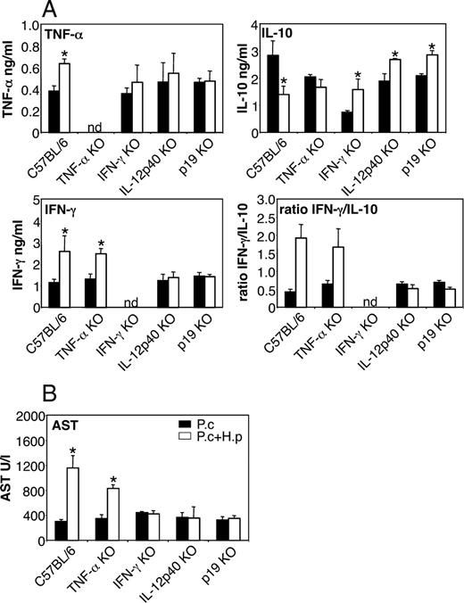 FIGURE 8. Liver damage during H. polygyrus-P. chabaudi coinfection is dependent on IL-12p40, IFN-γ, and IL-23p19, but not on TNF-α or LT-α. Serum cytokines (A) and AST levels in serum (B) in various KO strains coinfected with P. chabaudi and H. polygyrus. C57BL/6 WT mice, IFN-γ, IL-12p40, TNF-α, LT-α, and IL-23p19KO mice were infected as above (five to eight mice per group). Data from one representative experiment of three (two for p19KO experiment) are shown. nd, Not detectable. Asterisks indicate statistically significant difference between groups of mice with P.c. or P.c. + H.p. infection (p < 0.05).