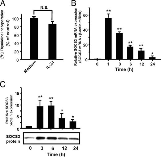 FIGURE 8. Effects of IL-24 on cell proliferation and SOCS3 expression. A, Effects of IL-24 on [3H]thymidine incorporation in HT-29 cells. Cells were stimulated with IL-24 (100 ng/ml) for 24 h, and the [3H]thymidine incorporation was determined. Data are expressed as mean ± SD (number of samples (n) = 5). B, IL-24-induced SOCS3 expression in HT-29 cells. The cells were stimulated with IL-24 (100 ng/ml), and the SOCS3 mRNA expression was sequentially determined by real-time PCR. Data are expressed as mean ± SD (n = 5). C, IL-24-induced SOCS3 protein secretion in HT-29 cells. The cells were stimulated with IL-24 (100 ng/ml) for 24 h, and the SOCS3 protein secretion was determined by Western blotting and image analyzer. Data are expressed as mean ± SD (n = 5). *, p < 0.05; **, p < 0.01, a significant difference from values for culture start.