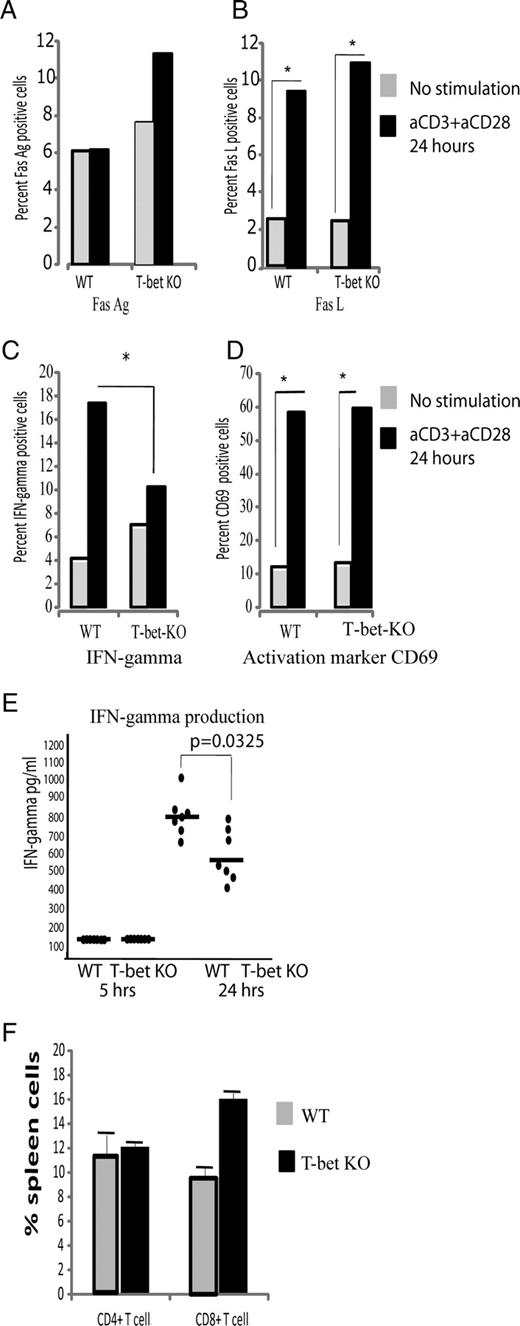 FIGURE 3. Characteristics of splenocytes from WT and T-bet KO mice. CD4+ cells were activated with anti-CD3 and anti-CD28 as indicated and assayed for (A) Fas Ag, (B) FasL, (C) IFN-γ expression, and (D) the activation marker CD69. E, IFN-γ production was measured at 5 and 24 h of activation with anti-CD3 and anti-CD28 in culture. F, The percentage of CD4+ cells did not differ between the WT and T-bet KO mice.