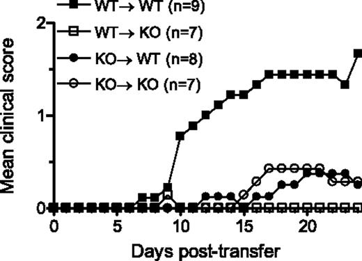 FIGURE 4. Induction of EAE by adoptive transfer of MOG-reactive lymphocytes. EAE was induced in WT or CMKLR1 KO mice by passive transfer of WT or CMKLR1 KO MOG35–55-reactive lymphocytes as described in Materials and Methods. Data shown are pooled from adoptive transfers that were performed at various times (eight independent experiments, n = 1–4 recipient mice per group). Values are presented as mean clinical score vs time.