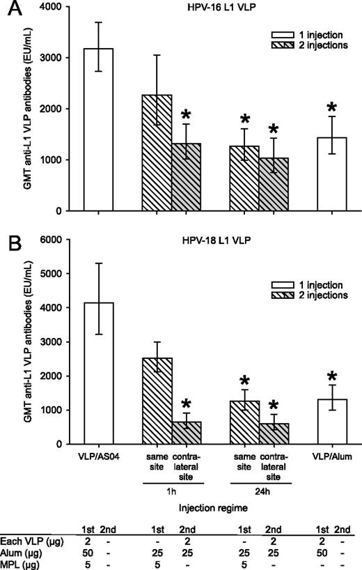 FIGURE 3. AS04 induced high geometric mean titers (GMTs) compared with aluminum hydroxide alone, when the Ags were injected in the same site and within 24 h after the MPL/aluminum hydroxide injection. Anti-HPV-16 L1 VLP geometric mean titers (A) and anti-HPV18 L1 VLP geometric mean titers (B) were measured 14 days after i.m. immunization in C57BL/6 mice. The quantity of the vaccine component (MPL; aluminum hydroxide, and HPV-16 L1 VLP/HPV-18 L1 VLP) used in each immunization (first/second injection) was tabulated directly below the respective results. Error bars represent ± 95% confidence intervals (n = 18). *, p < 0.0001 for significant differences by Tukey’s test between the respective geometric mean titers and the value observed after the injection of the Ags adjuvanted with AS04 (VLPs/AS04).