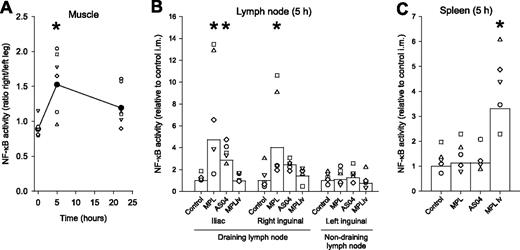 FIGURE 4. AS04 i.m. injection stimulated NF-κB activity only at the injection site. NF-κB activity was revealed by measuring luminescence using the NF-κB-luciferase transgenic mouse model. A, NF-κB activity (n = 6; measured by live imaging) at 0, 5, and 22 h after injections of AS04 in the right gastrocnemius and PBS in the left gastrocnemius. The NF-κB activity in the right hind limb is normalized to the NF-κB activity of the respective left limb. Geometric mean (•) and data points from each of the mice tested (○) are shown. Significant difference is indicated (*) by Dunnett’s test relative to the 0 h time point. B, NF-κB activity was measured in surgically exposed iliac, right and left inguinal lymph nodes. C, Activity measured in spleen homogenates (n = 5 donors). The measurements were taken 5 h after the injection of PBS (control), MPL or AS04 into the right gastrocnemius and PBS into the left gastrocnemius, or after the i.v. injection of MPL. All values were normalized to the respective measurement with PBS injection. Significant difference is indicated (*) by Dunnett’s test with respect to the PBS injections. Data represent geometric mean and symbols represent the data points from each of the mice tested.
