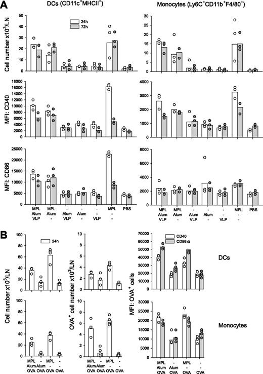 FIGURE 6. MPL-containing formulations stimulated increased DC and monocyte numbers in draining iliac lymph nodes. Cells from pooled iliac lymph nodes were analyzed by flow cytometry. A, C57BL/6 mice were immunized with the vaccine (MPL/Alum/VLP; 5/50/4 μg), MPL/aluminum hydroxide (MPL/Alum; 5/25 μg), Ags/aluminum hydroxide (VLP/Alum; 4/25 μg), aluminum hydroxide (Alum; 25 μg), Ags alone (VLP; 4 μg), MPL (5 μg) or PBS (n = 3 pools in which each data point is derived from pooled sample from n = 6 mice). The number of DCs (gated as CD11c+ MHC class II-positive) per lymph node or monocytes (gated as Ly6C+ F4/80+ and CD11b+) per lymph node at 24 or 72 h following i.m. injection. The mean fluorescent intensity (MFI) of CD40 or CD86 expression in the total population of DCs or monocytes at 24 or 72 h. B, C57BL/6 mice were immunized by i.m. injection of fluo-OVA (5 μg) as the Ag, in combination with MPL (5 μg) and aluminum hydroxide (Alum; 50 μg) as indicated (n = 4 pools in which each data point is derived from pooled sample from 6 mice). The number of total and OVA-positive DCs and monocytes per iliac lymph node at 24 h are shown. The mean fluorescent intensity (MFI) of CD40 or CD86 expression in the OVA-positive population of DCs or monocytes. Data represent geometric mean and symbols represent the data points from each of the pooled samples tested.
