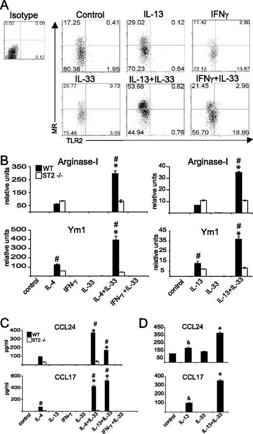 FIGURE 1. IL-33 enhances the polarization of AAM. A–C, BM cells from BALB/c or ST2−/− mice were cultured in the presence of M-CSF (10 ng/ml). After 6 days, macrophages (F4/80+) were stimulated for 48 h with IL-13 (10 ng/ml), IL-4 (10 ng/ml), IFN-γ (10 ng/ml), murine IL-33 (20 ng/ml), or combinations of these reagents. Surface markers (A) and mRNA expression of arginase I and Ym1 (B) were analyzed by FACS and qPCR, respectively. C, CCL24 and CCL17 production were analyzed by ELISA. D, Human monocyte-derived macrophages were stimulated with IL-13 (2 ng/ml), human IL-33 (20 ng/ml), or in the presence of both for 48 h. Data are means ± SEM and are representative of at least three independent experiments and three donors. ∗, p < 0.05, IL-33 treated vs other samples; #, p < 0.05, WT vs ST2−/− sample; & , p < 0.05, IL-13 vs control. Relative units indicates percentage of 18S expression.