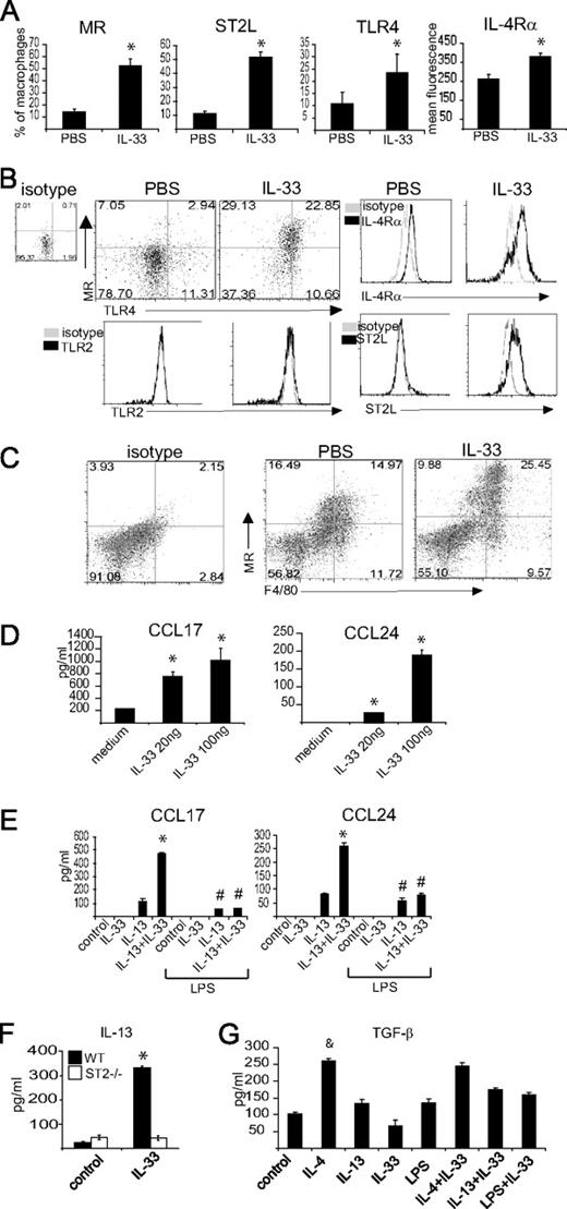 FIGURE 4. IL-33 polarizes alveolar macrophages toward AAM in vivo. BALB/c mice (n = 5) were inoculated i.n. with IL-33 (4 μg/mouse) or PBS for 3 consecutive days and mice were culled on day 6. A and B, BAL cells were gated for F4/80+CCR3− macrophages and the expression of MR, ST2L, TLR4, IL-4Rα, and TLR2 were analyzed by FACS. Quantitative evaluation (A) and representative staining (B) are shown. Lungs of PBS- or IL-33-treated mice were digested and the cell surface markers of lung macrophages were analyzed by FACS (C). D, E, and G, BAL F4/80+CCR3− macrophages from IL-33- (D) and PBS- (E and G) treated mice were sorted by FACSAria and cultured in the presence of IL-13 (10 ng/ml), IL-4 (10 ng/ml), IL-33 (20 or 100 ng/ml), LPS (10 ng/ml), or a combination of these reagents for 48 h. F, Whole BALB/c lungs were cut into pieces and cultured with or without IL-33 (20 ng/ml) for 48 h. Culture supernatants were analyzed for chemokines or cytokines by ELISA. Data are means ± SEM and are representative of at least three independent experiments. ∗, p < 0.05, IL-33-treated vs control mice; #, p < 0.05, LPS vs non-LPS samples; & , p < 0.05, IL-4-treated vs other samples.