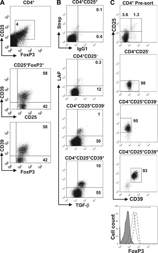 FIGURE 2. Distinct populations of CD4+CD25+FoxP3+ Treg cells based on expression of CD39. A, PBMC from healthy controls were stained for CD4, CD25, Foxp3, and CD39; CD4+ T cells were gated on the basis of CD25+Foxp3+ and the dot plots show the expression of CD39 vs CD25 or FoxP3. B, CD4+CD25− responder T cells, CD4+CD25high T cells and CD4+CD25highCD39+ and CD4+CD25highCD39− subsets of Treg cells were sorted by flow cytometry (as indicated), stimulated for 5 days with anti-CD3 plus APC and then stained with anti-TGF-β and anti-LAP, or IgG-PE and streptavidin-PerCP respectively as negative controls. C, MACS purified CD4+ T cells were stained with CD39-FITC, CD25-PE, and CD4-PerCP-Cy5.5 and sorted using a MoFlo into CD4+CD25−, CD4+CD25highCD39+, and CD4+CD25highCD39− subsets. The cells were stained with FoxP3-Alexa647 and analyzed by flow cytometry for purity and FoxP3 expression (% FoxP3+: 98%, 81%; MFI: 51.8, 27.2 for CD39+ (dashed line) and CD39− (dotted line) respectively relative to CD4+CD25− cells (filled histogram)).