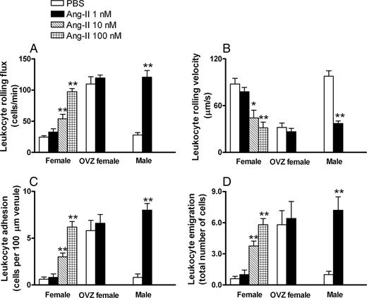 FIGURE 9. Effect of Ang-II administration on venular leukocyte rolling flux (A), velocity (B), adhesion (C), and emigration (D) within the rat mesenteric microvessels in female, OVZ female, and male rats. Results are means ± SEM of n = 4–5 animals/group. ∗, p < 0.05 or ∗∗, p < 0.01 relative to the respective PBS-injected group.