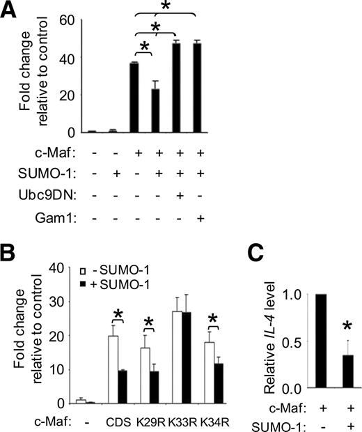 FIGURE 6. Sumoylation represses c-Maf transcriptional activity. A, EL4 cells were transfected with the IL4p-luc firefly reporter construct (1.32 μg) and Renilla expression vector (30 ng) along with 220 ng of FlagMafCDS (or its control vector pCMV-Flag), 55 ng of MycSUMO-1, or 385 ng of MycUbc9DN or MycGam1 expression vectors as indicated. The total amount of DNA was kept constant by adding empty pCMV-Myc when appropriate. All firefly luciferase activity was normalized to Renilla activity. Data are mean relative luciferase activity, where the activity of cells transfected with pCMV-Flag and pCMV-Myc control vectors is set as 1. Data are mean values (±SD) from two independent experiments performed with quadruplicate samples in each experiment (∗, p < 0.0001 with ANOVA and p < 0.01 with Fisher’s post hoc test). B, Reporter assays were performed as described in A above except that some cells were transfected with a mutant (K29R, K33R, or K34R) instead of full-length c-Maf (CDS). Data are shown as mean fold change (±SEM) relative to cells transfected with pCMV-Flag and pCMV-Myc control vectors (taken as 1). Statistical significance was assessed using paired Student’s t test (∗, p < 0.05; n = 5). Statistically significant differences (p < 0.05) were also observed when comparing transfectants expressing the K33R mutant (with or without SUMO-1) to each of the other transfectants (no asterisks shown). C, EL4 cells were transfected with 220 ng of FlagMafCDS plus 55 ng of MycSUMO-1 and 385 ng of pCMV-Myc (+) or 220 ng of FlagMafCDS plus 440 ng of pCMV-Myc (−). Forty-eight hours posttransfection total RNA was isolated and real-time RT-PCR was performed to assess endogenous IL-4 mRNA expression. IL-4 values were normalized to those of Hprt (hypoxanthine phosphoribosyltransferase). Relative expression was determined using the Pfaffl method as described in Materials and Methods. ∗, p < 0.05 (±SD) by paired Student’s t test; n = 4.
