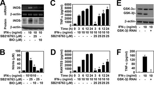 FIGURE 1. The effects of inhibiting GSK-3β on IFN-γ-induced iNOS/NO biosynthesis and cytokine expression. A and B, RAW264.7 murine macrophages were pretreated with SB216763 or BIO for 0.5 h and then treated with IFN-γ for 24 h. We used RT-PCR and Western blotting to determine the expression of iNOS mRNA and protein, respectively. We determined NO production by using Griess reagent to detect nitrite. C and D, ELISA was used to determine the time kinetics of SB216763 on TNF-α and RANTES production in IFN-γ-stimulated RAW264.7 cells. E and F, RAW264.7 cells were pretreated with or without lentiviral-based GSK-3β RNAi as described in Materials and Methods. GSK-3α and GSK-3β were analyzed with Western blotting. Cells were then treated with IFN-γ for 24 h. ELISA was used to determine TNF-α production. For RT-PCR and Western blot analysis, β-actin was the internal control. Data shown are representative of three individual experiments. For nitrite detection and ELISA, the data are means ± SD obtained from three individual cultures. ∗, p < 0.05 compared with the IFN-γ group.