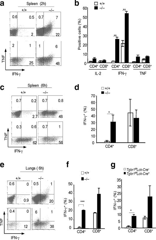 FIGURE 2. Different requirement of TGF-β1 for IFN-γ production between CD4+ and CD8+ T cells in response to CD3-specific Ab treatment in vivo. a, Flow cytometry of splenic CD4+ (top row) and CD8+ (bottom row) T cells in wild-type control (+/+) and TGF-β1−/− (−/−) mice (2 h after Ab injection). Numbers in quadrants indicate percent TNF+ (top left), TNF+IFN-γ+ (top right), and IFN-γ+ (bottom right) cells. Each plot represents one of two mice. b, Percent IL-2+, IFN-γ+, or TNF+ cells (mean ± SEM) in the indicated CD4+ or CD8+ T cells in the mice in a. ∗∗, p < 0.01. The experiment in a and b was repeated twice with similar results with a total of four mice in each group). c, Flow cytometry of splenic CD4+ (top row) and CD8+ (bottom row) T cells in wild-type control and TGF-β1−/− mice (6 h). Numbers in quadrants indicate the percentage of positive cells, as in a. Each plot represents one of three to four mice. d, Percentage of IFN-γ+ cells (mean ± SEM) in the mice in c. ∗, p < 0.05. Data in c and d represent three independent experiments. e, Flow cytometry of CD4+ (top row) and CD8+ (bottom row) T cells in lungs (6 h). Each plot represents one of four mice. f, Percentage of IFN-γ+ cells (mean ± SEM) of the mice in e. ∗∗∗, p < 0.001. Data represent two independent experiments. g, Percentage of IFN-γ+ cells (mean ± SEM) in CD4+ or CD8+ T cells in the spleens of Tgfbrf/f-Lck-Cre+ (open bar, n = 2) and Tgfbrf/f-Lck-Cre− (black bar, n = 2) mice 6 h post CD3-specific Ab injection. ∗, p < 0.05.