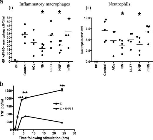 FIGURE 10. a, NN and α- defensins protect mice from experimental inflammation. Sterile peritonitis was induced by injecting thioglycolate along with either PBS, apoptotic cells (ACs), necrotic human neutrophils (NN), LL37, HNP1–3, or mouse NN (mNN). After 4 h, peritoneal lavages were used to isolate inflammatory GR1+F4/80+ macrophages (i) and neutrophils (ii), which were characterized by FACS and compared with cell numbers in control mice with peritonitis given PBS. The experiment is representative of two separate experiments with five mice per group. b, In separate experiments. resting murine peritoneal macrophages were isolated and stimulated in vitro with CI along with α-defensins and supernatants were collected at various time points and tested for TNF-α. ***, p ≤ 0.001 and *, p ≤ 0.01; error bars, SEM.
