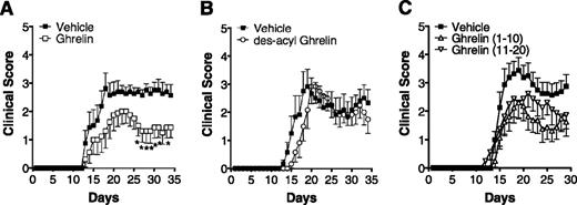 FIGURE 1. Effect of ghrelin on actively induced EAE. EAE was induced in female B6 mice (n = 8 in each group of the three experiments) by immunization with MOG35–55. A, The mice were treated every other day starting at the day of immunization with 5 μg/kg ghrelin, while controls were administrated with the vehicle, 0.9% saline, alone. B, The mice were injected from day 1 every other day with 5 μg/kg des-acyl ghrelin, whereas controls were subjected to 0.9% saline injections. C, Following an alternative protocol, mice were treated from days 1–10 (induction phase treatment) or from days 11–20 (effector phase treatment) with 5 μg/kg ghrelin and in-between with 0.9% saline, while controls were treated every day with 0.9% saline injections. Data represent mean ± SEM. ∗, Significant differences between the groups (p < 0.05; Mann-Whitney U test).