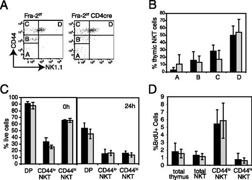 FIGURE 3. Fra-2 acts at or near the iNKT lineage commitment step. A, CD44 vs NK1.1 FACS profiles of gated PBS57-CD1d-tet+/TCRβint thymic iNKT cells. Developmental progression of cells follows gates labeled A–D. B, Percentage of total PBS57-CD1d-tet+/TCRβint thymic iNKT cells from Fra-2f/f (black bars) and Fra-2f/fCD4cre (gray bars) mice falling into each of gates A–D; n = 8, error bars show SD. C, Live (annexin V−, DAPI−) cells from Fra-2f/f (black bars) and Fra-2f/fCD4cre (gray bars) thymus directly ex vivo or cultured for 24 h; n = 3, error bars show SD. D, BrdU incorporation by total thymocytes and iNKT cells from Fra-2f/f (black bars) and Fra-2f/fCD4cre (gray bars); n = 4, labels show averages ± SD.