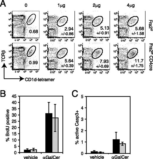 FIGURE 6. Enhanced expansion of Fra-2f/fCD4cre iNKT cells. A, Relative size of the iNKT cell population as a percentage of spleen lymphocytes 3 days after i.p. injection of α-GalCer at the concentrations shown; “t0” data (left-hand panels) as Fig. 1, shown for comparison. Fra-2f/f, n = 3; Fra-2f/fCD4cre, n = 3. B, BrdU incorporation by spleen iNKT cells, 3 days after i.p. α-GalCer injection and 1h after BrDU injection; black bars, Fra-2f/f; gray bars, Fra-2f/fCD4cre; n = 3, error bars show SD. C, Anti-active caspase 3 staining of spleen iNKT cells, 3 days after i.p. α-GalCer injection; black bars, Fra-2f/f; gray bars, Fra-2f/fCD4cre; n = 3, error bars show SD.