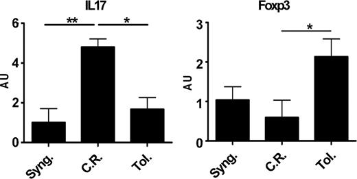 FIGURE 9. mRNA expression of IL-17 and Foxp3 in rat cardiac tolerated allografts. mRNA expression of IL-17 and Foxp3 were analyzed by quantitative RT-PCR in cardiac syngeneic grafts (Syng.), chronically rejected allografts by DST treatment (C.R.), or tolerated allografts by LF15-0195 treatment (Tol.) harvested at day 100 after transplantation (n = 4). Results are expressed in AU of IL-17 or Foxp3/HPRT transcript ratio ± SEM and expressed as relative expression compared with the reference syngeneic grafts (value = 1). ∗, p < 0.05 and ∗∗, p < 0.01.