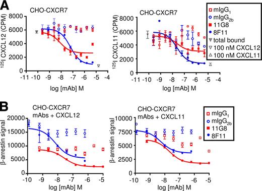 FIGURE 7. CXCR7-specific mAbs that block CXCL12 and CXCL11 binding inhibit chemokine-mediated β-arrestin2 recruitment. A, 125I-CXCL12 and 125I-CXCL11 displacement by CXCR7-specific mAbs. Binding of 125I-CXCL12 (left) and 125I-CXCL11 (right) to CHO-CXCR7 transfectants was inhibited in a concentration-dependent manner by CXCR7-specific mAbs 11G8 and 8F11, but not by isotype controls. Radioligand binding to cells incubated in the absence of competitor is indicated as total bound. Unlabeled CXCL12 (left) or CXCL11 (right) (100 nM) was included to define the maximal level of binding inhibition. The mean ± SEM of quadruplicate wells is shown. B, CXCR7-specific mAbs block CXCL12 and CXCL11-mediated β-arrestin2 association. Pretreatment of CHO-CXCR7 cells with 11G8 or 8F11 block CXCL12-triggered (left) or CXCL11-triggered (right) β-arrestin2 recruitment in a concentration-dependent manner. CXCL12 and CXCL11 were used at 10–20 nM. The mean ± SEM of triplicate wells is shown. Data are representative of n = 2 independent experiments.