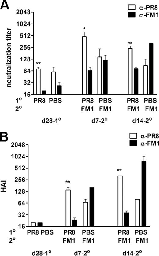FIGURE 2. Immunization with DNA vaccines encoding HA of PR8 and FM1 induced original antigenic sin. A cohort of BALB/c (F) mice (5 mice/group) was primed by gene gun with 2 μg of DNA vaccine encoding full length HA from PR8 (PR8-HA). A control group of mice were immunized with PBS. A month later, PR8-HA-immune mice were immunized again with the same dose of DNA vaccine encoding HA of FM1 (FM1-HA). Serum samples were taken at the times described and analyzed for neutralization (A) and HAI titers (B). Open bars represent serum titers against PR8 and filled bars against FM1. Error bars represent SEM. ∗, p < 0.05; ∗∗, p < 0.02. The data represent two separate experiments.