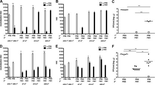 FIGURE 5. Induction of original antigenic sin was independent of the interval between exposures to variant viruses. BALB/c mice (four to ten mice/group) were intranasally infected with 0.1 × LD50 of mouse-adapted PR8 (A–C) or i.m. immunized with 1400 HAU of whole inactivated PR8 (D–F). Three months later, PR8-infected or immune mice were infected with 0.1 × LD50 of mouse-adapted FM1 (A–C) or immunized with 1400 HAU of whole inactivated FM1 (D–F). Control mice (nine mice) were injected with PBS. Serum samples were collected at the times described and analyzed for neutralization (A and D) and HAI titers (B and E). A month later, these mice were challenged with a lethal dose (100 × LD50) of mouse-adapted FM1 (C and F). Naive mice (six mice) that sequentially received PBS were included as infection control (C and F). Four days following challenge, lungs of the mice were harvested and assessed for lung viral titers via plaque assay on MDCK cells, shown as plaque forming units (pfu/ml). Numbers indicate the number of mice with undetectable level of lung viral titers. Open bars represent serum titers against PR8 and filled bars against FM1. Each data point represents an individual animal. Error bars represent SEM. ∗, p < 0.05; ∗∗, p < 0.02; ∗∗∗, p < 0.001. The data represent two separate experiments.