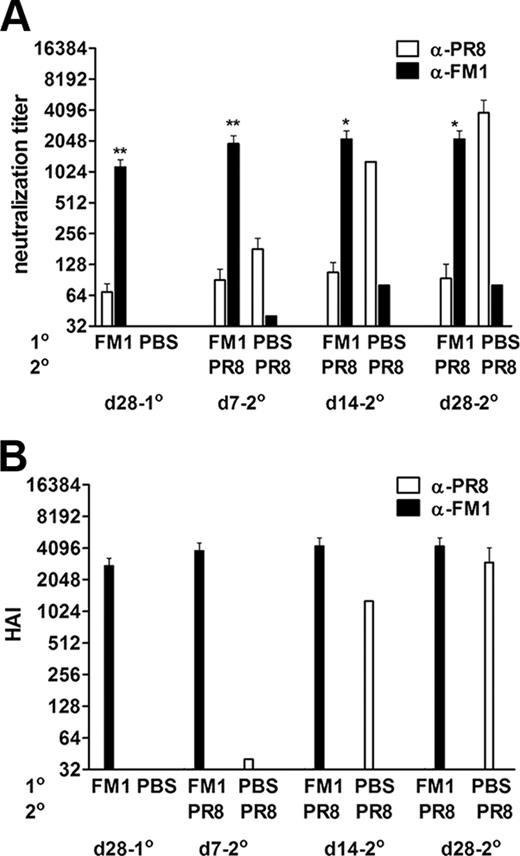FIGURE 6. Induction of original antigenic sin was independent of the order of exposure to variant viruses. BALB/c mice (six to ten mice/group) were intranasally infected with 0.1 × LD50 of mouse-adapted FM1. A month later, FM1-infected mice were subsequently infected with 0.1 × LD50 of mouse-adapted PR8 virus. Control mice received PBS and then PR8 virus. Serum samples were taken at the times described and analyzed for neutralization (A) and HAI titers (B). Open bars represent serum titers against PR8 and filled bars against FM1. Error bars represent SEM. ∗, p < 0.05; ∗∗, p < 0.02. The data represent two separate experiments.