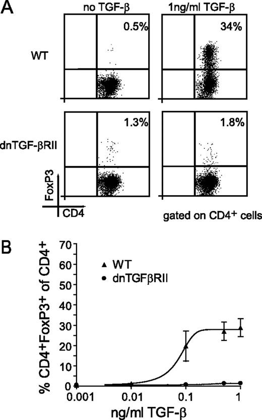 FIGURE 4. TGF-β induces adaptive Treg cells in vitro. A, Sorted GFP− spleen cells from naive WT and dnTGFβRII mice were activated with anti-CD3, anti-CD28, and IL-2 in presence or absence of 1 ng/ml TGF-β. B, Naive and dnTGFβRII GFP− spleen cells were activated with anti-CD3, anti-CD28, and IL-2 in the presence or absence of different concentrations of TGF-β (two independent experiments).