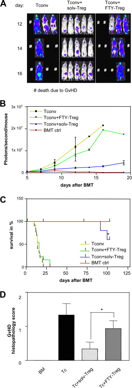 图6。FTY720治疗严重损害Treg抑制函数模型的急性移植物抗宿主病。,代表BALB / c接受者从指定的组(Tconv,传统CD4 / CD8 T细胞在骨髓移植(BMT;后第二天n = 10);solv-Treg (n = 15);和FTY-Treg (n = 15))从不同的时间点(天12、14和16)BMT后显示。B,扩张的荧光素酶转基因alloreactive T细胞作为量化光子每秒每只老鼠。汇集来自两个独立实验显示的数据。C、BALB / C的生存与8.5 Gy, BMT致命辐照后。从三个独立的实验数据池(p < 0.05 solv-Treg vs FTY-Treg∗)。 D, Seven days after transplantation, mice from the indicated groups were sacrificed and sections of small bowel and large bowel were stained with H & E. Slides were analyzed by a pathologist blinded to the treatment groups for evidence of pathologic damage (∗, p < 0.05 vs solv-Treg). BM, Bone marrow; ctrl, control; Tc, conventional T cell.