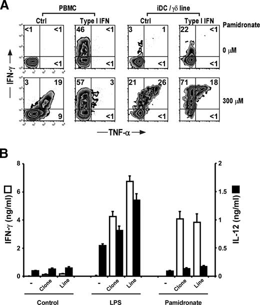 FIGURE 6. Type I IFN induce preferential IFN-γ production by Vγ9Vδ2 T cells and IL-12 production from DC cocultured with γδ T cells. A, IFN-γ and TNF-α production by either Vγ9Vδ2 T cells directly activated within fresh PBMC treated by pamidronate (300 μM) (left panel) or established Vγ9Vδ2 T cells activated following coculture with pamidronate-treated iDC (300 μM) (right panel) was measured in the absence or presence of recombinant human IFN-α2a (500 IU/ml). Intracellular IFN-γ and TNF-α was measured within Vδ2+ T cells by flow cytometry. Values for the percentages of cytokine positive cells are indicated in the quadrants. B, iDC were treated for 2 h by either LPS (10 μg/ml) or pamidronate (200 μM) or incubated in medium (Control). DC were washed and cultured either alone (−) or together with Vγ9Vδ2 T cells (clone and polyclonal line). After 16 h, IFN-γ (□) and IL-12p70 (▪) released in the collected supernatants of triplicate cultures were titrated by ELISA. Data represent the average value of triplicate samples ± SD and are representative of three independent experiments.