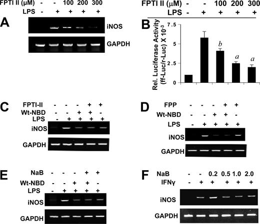 FIGURE 9. Effect of FPT inhibitor II (FPTI II) on the expression of iNOS and the activation of NF-κB in mouse BV-2 microglial cells. A, Cells treated with different concentrations of FPT inhibitor II for 2 h were stimulated by LPS. After 5 h of stimulation, the expression of iNOS mRNA was monitored by RT-PCR. B, Cells were cotransfected with 0.25 μg of PBIIX-Luc and 12.5 ng of pRL-TK. Twenty-four hours after transfection, cells were incubated with different concentrations of FPT inhibitor II for 2 h followed by stimulation with LPS. After 6 h of stimulation, activities of firefly (ff-Luc) and Renilla (r-Luc) luciferase were monitored. Results are mean ± S.D. of three different experiments. a, p < 0.001 vs LPS; b, p < 0.05 vs LPS. C–E, Cells treated with appropriate concentrations of FPT inhibitor II (200 μM) for 2 h (C), FPP (200 μM; D), or NaB (1 mM; E) alone for 6 h or along with wtNBD (10 μM; 1 h before stimulation) were stimulated by LPS. After 5 h of stimulation, the expression of iNOS mRNA was monitored by RT-PCR. F, Cells treated with different concentrations of NaB for 6 h were stimulated by IFN-γ (12.5 U/ml). After 5 h of stimulation, the expression of iNOS mRNA was monitored by RT-PCR. The results represent three independent experiments.