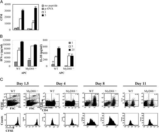 FIGURE 2. MyD88−/− APC support WT effector T cell proliferation in vitro and in vivo. A, B, WT anti-MOG35–55 T cells were activated with increasing doses of MOG35–55 (μg/ml) in the presence of either WT or MyD88−/− irradiated APCs. Proliferation (A) and production of IFN-γ and IL-10 (B) were compared using the different APCs. No significant differences were observed comparing the two APC populations (p < 0.177). One representative experiment of three is shown for A and B. (C) CFSE-labeled WT anti-MOG35–55 cells were transferred to WT and MyD88−/− irradiated recipients, and groups of mice (n = 3) were sacrificed at 1.5, 4, 8, and 11 d after transfer. Splenocytes isolated 1.5, 4, 8, and 11 d following transfer were analyzed by flow cytometry (top). CFSE fluorescence is detected in the FL1 channel, and anti-CD4–APC is detected in the FL4 channel. For day 1.5, FL1 versus forward scatter is shown in the dot plots, whereas in the remaining days the percentage of FL1+ of the total CD4+ cells in the spleen was determined. The distribution of CFSE among FL1+ cells, a marker of cell divisions, is shown in the histograms below the dot plots. One representative mouse for each group of 5–6 mice per group is shown.