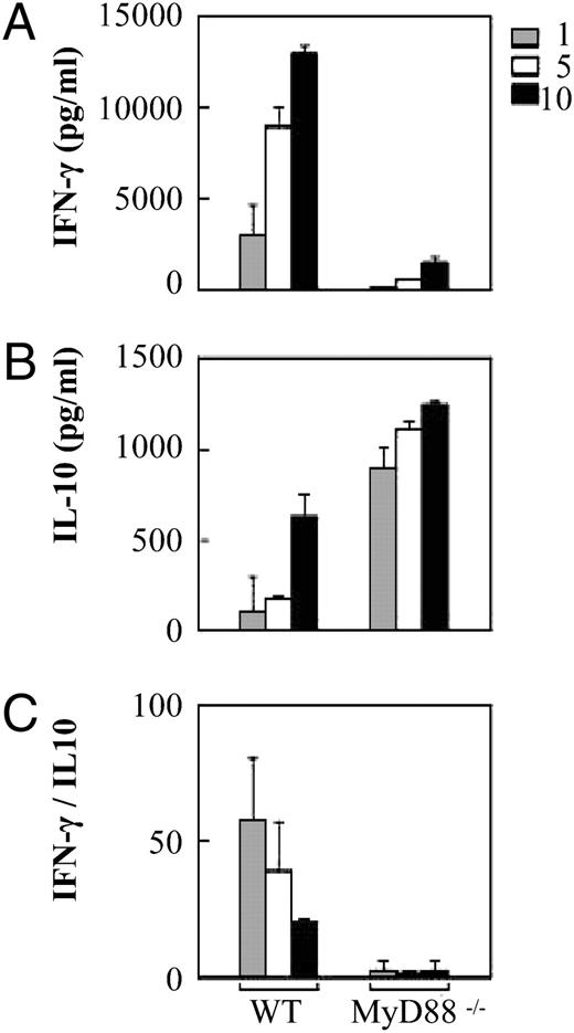 FIGURE 4. Anti-MOG35–55 response following adoptive transfer to WT and MyD88−/− recipients. Splenocytes were isolated from WT and MyD88−/− mice 11 d after transfer of 20 × 106 activated WT anti-MOG35–55 T cells. Splenocytes were activated for 72 h with increasing concentrations of MOG35–55 peptide (μg/ml), and supernatants were tested for IFN-γ (A) and IL-10 (B). Results for one of two experiments of three mice per group are shown in A–C. At each peptide concentration, significantly more IFN-γ (p < 0.005) and significantly less IL-10 (p < 0.005) were produced by WT splenocytes compared with MyD88−/− splenocytes.