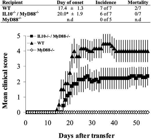 FIGURE 7. MyD88−/−/IL-10−/− double-knockout mice are susceptible to adoptive transfer EAE. Approximately 2 × 106 activated WT anti-MOG35–55 T cell blasts were transferred per mouse to C57BL/6 WT (triangles), IL-10−/− (circles), MyD88−/−/IL-10−/− (squares), and MyD88−/− (open diamond) mice. The average clinical score of all of the mice is shown. Disease onset in MyD88−/−/IL-10−/− mice was significantly delayed compared with both WT and IL-10−/− mice (p < 0.05). Significantly higher clinical scores were observed in IL-10−/− mice compared with those in MyD88−/−/IL-10−/− mice from day 15 onward (p < 0.05) and for WT versus MyD88−/−/IL-10−/− mice on day 22 and from day 25–40 (p < 0.05). No significant differences in daily clinical scores were seen between WT versus IL-10−/− mice. One representative experiment of two is shown.