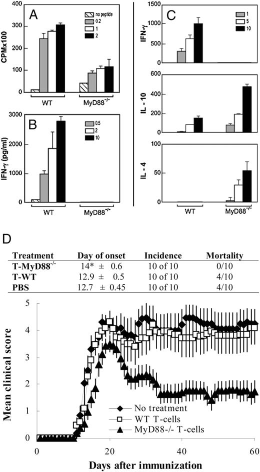 FIGURE 8. MyD88−/− T cells downregulate active EAE in WT mice. A, B, Both WT and MyD88−/− DLN cells proliferated in response to increasing concentrations of MOG35–55 peptide (A); however, only WT cells produced detectable levels of IFN-γ (B). One representative experiment of four is shown. C, DLN cells from WT and MyD88−/− mice immunized with MOG35–55/CFA were reactivated in vitro with irradiated autologous splenocytes in the presence of increasing concentrations of MOG35–55 peptide. IFN-γ (top), IL-10 (middle), and IL-4 (bottom) were measured by ELISA at 72 h. One representative experiment of three is shown. D, EAE was induced in WT mice by MOG35–55/CFA immunization on day 0, and reactivated WT (squares) versus MyD88−/− (triangles) DLN cells were adoptively transferred on day 3 (1.8 × 106 blasts per mouse). Immunized mice treated with PBS were used as a control group (diamonds). Combined results of all mice from two experiments are shown in the graph and summarized in the table. The mean cumulative disease score was significantly lower in TMyD88 treated mice compared with that in PBS-treated (p < 0.011) or TWT-treated mice (p < 0.022). No significant differences were seen between groups treated with TWT cells versus PBS.