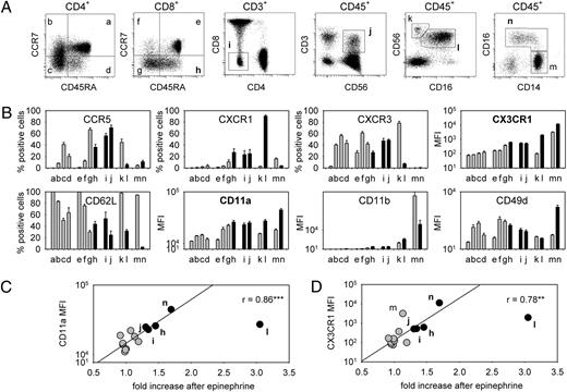 FIGURE 3. Adhesion molecule and chemokine receptor expression on leukocyte subsets. A, Representative dotplots of naive (CCR7+CD45RA+CD4+ [a]), CM (CCR7+CD45RA−CD4+ [b]), EM (CCR7−CD45RA−CD4+ [c]), and effector (CCR7−CD45RA+CD4+ [d]) Th cells; naive (CCR7+CD45RA+CD8+ [e]), CM (CCR7+CD45RA−CD8+ [f]), EM (CCR7−CD45RA−CD8+ [g]), and effector (CCR7−CD45RA+CD8+ [h]) cytotoxic T cells; γ/δ T cells (CD3+CD4−CD8− [i]), NKT-like cells (CD3+CD56+ [j]), immunomodulatory NK cells (CD16−CD56bright [k]), cytotoxic NK cells (CD16+CD56dim [l]), conventional monocytes (CD14+CD16− [m]), and proinflammatory monocytes (CD14dimCD16+ [n]). Lowercase letters refer to respective cell subset; subpopulations mobilized by epinephrine in vivo are in bold. B, Surface expression of chemokine receptors (CCR5, CXCR1, CXCR3, and CX3CR1), L-selectin (CD62L), and three integrins (CD11a, CD11b, and CD49d). Mean (± SEM) percentages or MFI of cells for respective subset in six to eight healthy donors. Black bars indicate subpopulations mobilized by epinephrine in vivo; y-axis for CX3CR1 MFI is log-transformed. C, Correlations between CD11a and CX3CR1 expression and increases after epinephrine in vivo across different leukocyte subsets. Filled circles indicate subpopulations mobilized by epinephrine in vivo. For calculating correlation coefficients, cytotoxic NK cells (l) were excluded because of their clearly exaggerated response (3-fold increase) to epinephrine in vivo. **p < 0.01, ***p < 0.001.