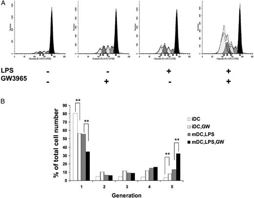 FIGURE 5. LXR treatment results in increased T cell proliferation. A, iDCs or LPS-activated mDCs preconditioned or not with GW 3965 (1 μM) were cocultured with CFSE-labeled allogeneic, naive CD4+ T cells at 1:15 DC-T cell ratio. On day 5, fluorescence intensities of T cells were measured by flow cytometry. Representative histograms diplaying the number of T cell divisions (arrowheads) are shown. B, The percentages of cells in each generation. Results were calculated using the Modfit LT software. Identical results were obtained when LPS derived from E. coli and S. enterica serotype Minnesota were used (not shown). Results are represented as of seven independent experiments. **p < 0.02, for difference between GW-treated versus untreated iDCs or mDCs.
