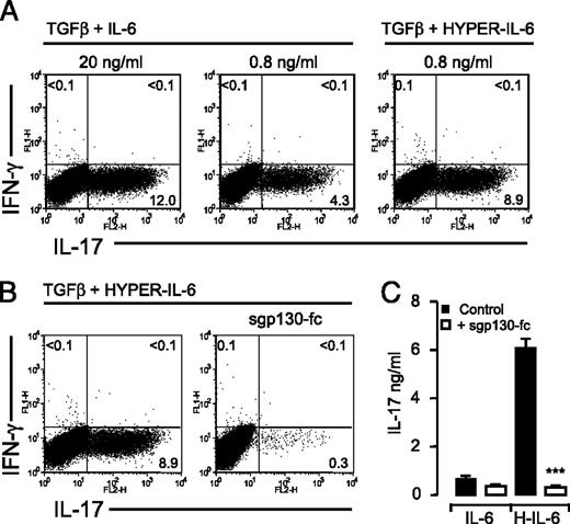FIGURE 3. IL-6 trans signaling directs Th17 expansion in vitro. A, Representative dot plots of WT naive CD4+ T cells stimulated with anti-CD3 and anti-CD28 for 4 d in the presence of TGF-β and IL-6 or HYPER–IL-6 at the indicated concentrations. Cells were stimulated with PMA and ionomycin in the presence of monensin for the final 4 h of culture before analysis of Th17 expansion by flow cytometry for CD4+ T cells producing IL-17A and IFN-γ. B, WT naive CD4+ T cells were activated for 4 d in the presence of TGF-β and HYPER–IL-6 (0.8 ng/ml). IL-6 trans signaling was blocked in cultures using sgp130-fc (500 ng/ml). Expansion of Th17 cells was determined by flow cytometry for CD4+ T cells producing IL-17A and IFN-γ. C, Splenic T cells were stimulated with anti-CD3 and anti-CD28 for 4 d in the presence of TGF-β and IL-6 (0.8 ng/ml) or HYPER–IL-6 (0.8 ng/ml). IL-6 trans signaling was blocked using sgp130-fc (500 ng/ml). IL-17A levels in culture supernatants were determined by ELISA. Values represent the mean ± SEM. n = 3. ***p < 0.001.