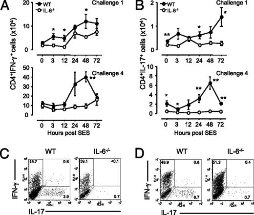 FIGURE 4. Emergence of Th1 and Th17 effector populations during SES-induced peritoneal inflammation. Single and repeat challenges of SES-induced peritoneal inflammation were established in WT and IL-6−/− mice. The peritoneal cavity was lavaged, and leukocytes were quantified at defined time points. A, The emergence of Th1 cells was determined by intracellular flow cytometry for CD4+ T cells producing IFN-γ. B, The emergence of Th17 cells was determined by intracellular flow cytometry for CD4+ T cells producing IL-17A. C, D, Representative dot plots of intracellular cytokine staining for IL-17A– and IFN-γ–producing CD4+ T cells at 72 h post-single SES challenge (C) and 72 h post-fourth SES challenge (D). Values represent mean ± SEM. n = 5–7 mice per time point. *p < 0.05; **p < 0.01.