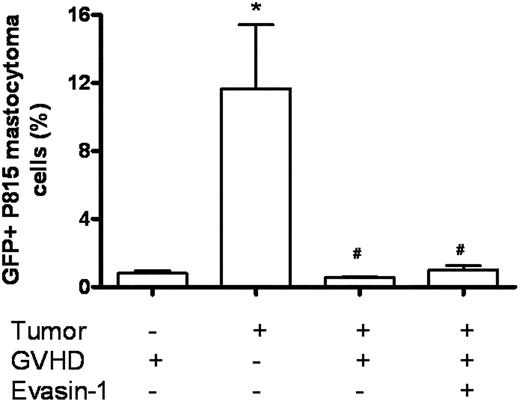 FIGURE 8. Evasin-1 treatment does not interfere with GVL in mice subjected to GVHD. GVHD was induced by the transfer of splenocytes from allogeneic (C57BL/6J) donors to B6D2F1 mice. Mice that received splenocytes from syngeneic (B6D2F1) mice did not develop disease and were considered the control group. Evasin-1 (10 μg in 200 μl of PBS s.c.) was given 30 min before transplantation and twice per day during the entire duration of the experiments. GFP+P815 cells were injected i.v. into B6D2F1 recipients on day 0 of transplantation. At day 10 of transplantation, mice were killed and the frequency of GFP+P815 cells evaluated in inguinal lymph nodes. Results are presented as the mean ± SEM (n = 6). *p < 0.01 compared with mice that received no tumor cells; #p < 0.01 compared with mice that received tumor but were not subjected to GVHD.