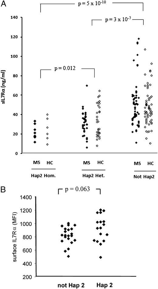 FIGURE 5. Haplotype differences in soluble and cell surface IL-7Rα protein expression in blood. A, sIL-7Rα protein was determined by ELISA in MS (open diamonds) and control (filled diamonds) individuals for the rs6897932 genotypes (haplotype 2 is “T,” not haplotype 2 is “C”). No differences between MS and control sIL-7Rα levels were detected for any genotype. There was also no significant difference between MS and controls overall (45.9 and 41.7 ng/ml, respectively; p = 0.303). B, Cell surface IL-7Rα determined by flow cytometry for 18 individuals with MS and 20 healthy control individuals who do (n = 17) or do not (n = 21) carry haplotype 2. p Values were determined by Mann-Whitney U test.