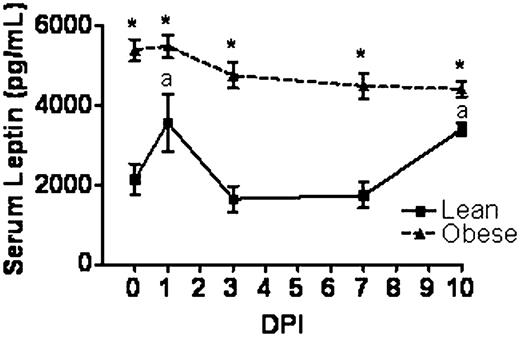 FIGURE 7. Serum leptin concentrations for lean and obese mice after secondary challenge. Serum leptin levels measured by ELISA. Data as expressed as pg/ml (n = 6–8 per group) ± SEM. *p < 0.05, lean versus obese; ap < 0.05 versus day 0.
