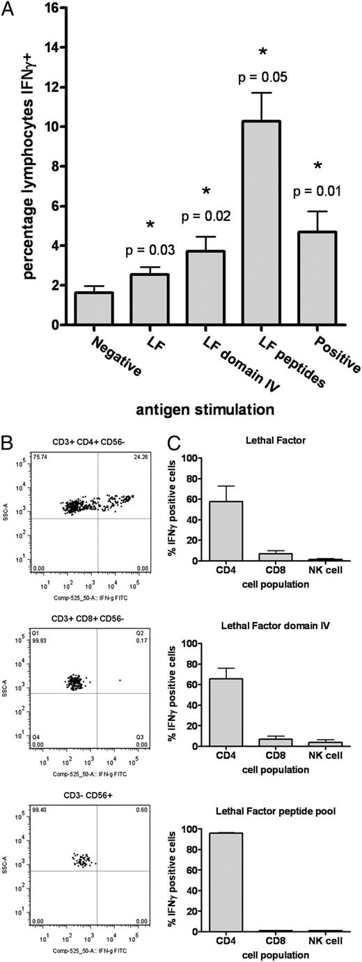 FIGURE 2. The IFN-γ response to LF proteins and peptides is predominantly derived from CD4 T cells. PBMCs from a subset (n = 5) of AVP-vaccinated individuals were stimulated for 24 h with LF, LF domain IV, or a pool of LF peptides. A, Statistically significantly elevated levels of IFN-γ were produced in the stimulated lymphocytes compared with the negative control samples (Wilcox signed rank test). B, A representative flow cytometry plot, showing the response of one subject to the LF peptide pool, clearly demonstrates that the IFN-γ is being produced by the CD4 T cells (CD3+ CD4+ CD8− NK1.1−), as opposed to the CD8 T cells (CD3+ CD8+ CD4− NK1.1−) or the NK cells (CD3− NK1.1+). C, The dominance of CD4 T cells in the release of IFN-γ can clearly be seen in response to rLF protein, rLF domain IV only, and the LF peptide pool.
