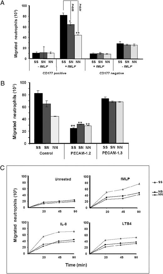 FIGURE 4. A, Analysis of neutrophil transmigration through PECAM-1–phenotyped HUVECs. HUVECs were cultured on fibronectin-coated polycarbonate membranes in transmigration chambers. After 48 h, fluorescence-labeled neutrophils (CD177+ or CD177−; see Fig. 3) were allowed to transmigrate through HUVECs for 90 min toward fMLP (10−8 M) or without fMLP (as control). Fluorescence intensity of migrated neutrophils in the lower chamber was measured by fluorescent microtiter plate reader (n = 4). B, Inhibition of neutrophil migration through PECAM-1–phenotyped HUVEC mAb PECAM-1 against IgD6 (PECAM-1.2) and IgD1 (PECAM-1.3). Fluorescence-labeled CD177+ neutrophils were allowed to pass through untreated and treated HUVECs toward fMLP and were measured as above (n = 4). C, Analysis of neutrophil transmigration through PECAM-1–phenotyped HUVECs with different chemoattractants. Fluorescence-labeled neutrophils (CD177+) were allowed to transmigrate through HUVECs for 90 min toward fMLP (10−8 M), IL-8 (50 ng/ml), or LTB-4 (10−4 M) or without chemoattractant (as control) and were measured as above. *p < 0.05; **p < 0.01; neutrophil migration between homozygous SS and two NS and NN phenotypes (n = 4).