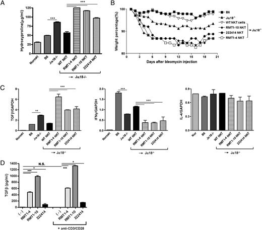 FIGURE 7. TIM1 engagement on NKT cells aggravates BIPF by suppressing production of IFN-γ. Sorted NKT cells were preincubated with an anti-TIM1 mAb or an isotype-matched control IgG and then administered to Jα18−/− mice. Pulmonary fibrosis was induced by injection of bleomycin. A, Three weeks after bleomycin injection, the mice were sacrificed, and the hydroxyproline content in whole lungs was determined. B, For the 3 wk following bleomycin injection, mouse body weights were monitored as the biological indicator of pulmonary fibrosis. C, Levels of IL-4, IFN-γ, and TGF-β1 transcripts (relative to GAPDH transcript) in the lungs were quantitated using real-time PCR 1 wk after bleomycin injection. A–C, Data shown are mean ± SD for three mice in each group. D, Sorted NKT cells were incubated with anti-TIM1 mAbs (0.5 μg/ml) in the presence or absence of plate-coated anti-CD3+CD28 (0.2 μg/ml) mAbs for 24 h and amounts of TGF-β in culture supernatant were measured using ELISA. Statistical analysis was performed using the Prism 4.0 program. *p < 0.05; **p < 0.01; ***p < 0.001. Similar results were obtained in three independent experiments.