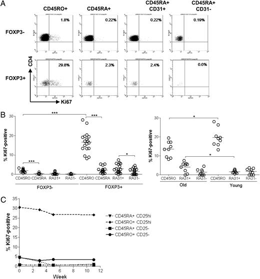 FIGURE 3. Both memory and naive Tregs are highly proliferative. PBMCs from healthy donors were stained for expression of the nuclear proliferation marker Ki67. Tregs were defined by gating on CD4+FOXP3+ cells. CD45RO+ cells were designated as memory and CD45RO- cells were assumed to be CD45RA+ and designated as naive. A, Representative dot plots showing Ki67 expression by CD45RO+, CD45RA+, CD45RA+CD31+, and CD45RA+CD31− Tregs and responders. B, left panel, Cumulative data showing the proportion of CD45RO+ and naive regulatory and responder cells in all age groups that stained positive for Ki67 (n = 37). Right panel, Ki67 expression by Treg subsets (CD45RO+, CD45RA+CD31+, and CD45RA+CD31−) in young (ages 22–35 y) and old (ages 71–91 y) (n = 9). C, Ki67 expression in Treg and responder subsets (CD45RO+ and CD45RA+) in three donors (ages 27, 31, and 38 y) over time.