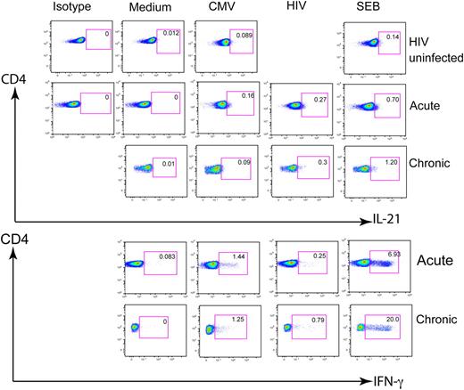 FIGURE 1. Viral-specific IL-21–producing cells are detectable in HIV infection. Representative data from an HIV-infected acute seroconverter, a chronically infected individual, and an HIV-uninfected individual (top panel), in which ex vivo PBMCs were stimulated 6 h with either medium control, HIV p55 Ag, CMV lysate, or SEB and then stained for CD4/IL21/IFN-γ/IL-2. The frequencies of Ag-specific cells producing IL-21 (upper panel) or IFN-γ (lower panel) for comparison with the same Ags in a given subject are indicated as percentage of total CD4+ T cells.