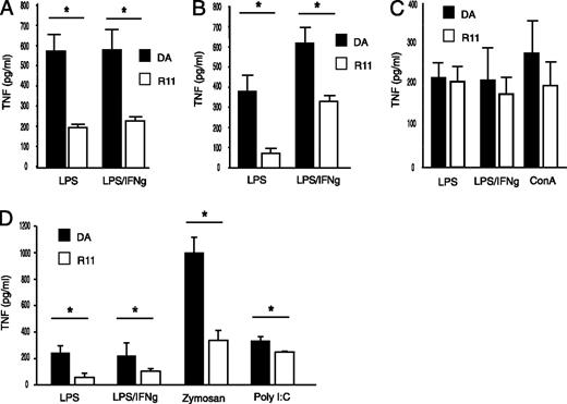 FIGURE 2. Congenic macrophages have less TNF production than DA after TLR stimulation. TNF production from BM (A) and i.p. (B) macrophages differentiated or isolated from DA (n = 4) and R11 (n = 4) rats were stimulated with LPS or a combination of LPS and IFN-γ for 24 h. R11 macrophages produce less TNF compared with DA. Graphs are representative of three BM macrophage and two i.p. macrophage experiments. C, Splenocytes from DA (n = 4) and R11 (n = 4) rats exhibit no difference in TNF production after stimulation with LPS, LPS/IFN-γ, or Con A. D, R11 (n = 4) BM macrophages have reduced TNF production compared with DA (n = 4) after LPS, LPS/IFN-γ, zymosan, or poly(I:C) stimulation. A total of 1.5 × 105 cells/well were used. Graphs are representative of two experiments. Unstimulated samples were below the detection limit. *p < 0.05 using nonparametric Mann-Whitney U test. Error bars represent SD.