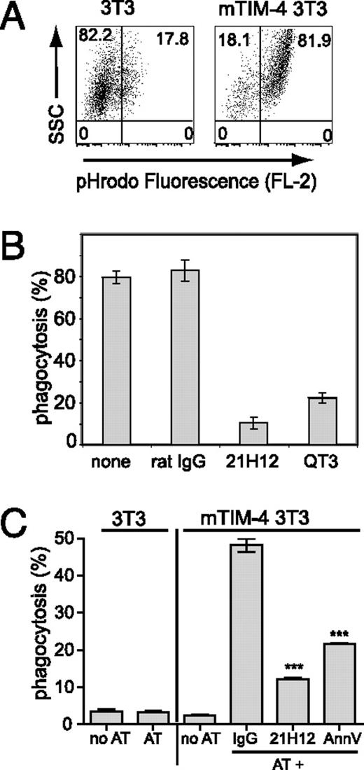 FIGURE 1. Blocking TIM-4 inhibits engulfment of apoptotic cells. A, Apoptotic thymocytes were labeled with the pH-sensitive dye pHrodo, incubated with untransfected or mTIM-4–transfected 3T3 cells for 90 min, and then washed. The engulfment of apoptotic cells from cell surface (weakly fluorescent at neutral pH) into acidic cell compartments (strongly fluorescent at acidic pH) was determined by flow cytometry. One experiment representative of three is shown. B, mTIM-4–transfected 3T3 cells were untreated or pretreated with TIM-4 mAb or control mAb for 15 min, incubated with CMFDA-labeled apoptotic cells for 90 min, and analyzed by FACS. Data are presented as percentage of 3T3 cells that have engulfed an apoptotic cell compared with control. C, Control 3T3 cells and mTIM-4–transfected 3T3 cells were incubated with pHrodo-labeled apoptotic thymocytes (AT) or without apoptotic thymocytes (no AT) for 30 min. TIM-4–3T3 cells were pretreated with TIM-4 mAb (21H12) or control mAb (IgG) for 15 min prior to addition of AT. Phrodo-labeled AT were pretreated with annexin V (0.1 mg/ml) for 1 h prior to addition to 3T3–TIM-4 cells.