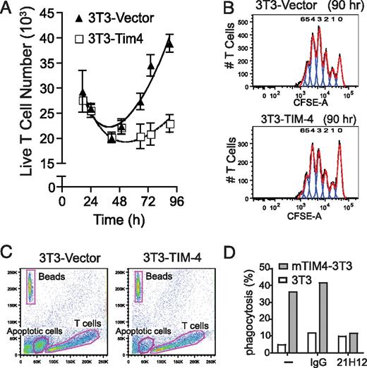 FIGURE 4. TIM-4 mediates phagocytosis of apoptotic and activated T cells. A–C, A total of 5 × 104 T cells was cultured with 5 μg/ml plate-bound anti-CD3, 2 ng/ml IL-2, and 104 3T3-Vector or 3T3–TIM-4 cells and analyzed for T cell expansion. A, T cell counts with SD are shown. B, CFSE plots at 90 h show equivalent number of T cell divisions, as analyzed by the proliferation function in FlowJo. C, Forward scatter-side scatter plots show gates for BD Calibrite beads, apoptotic cells, and live cells. D, Purified CD4+ T cells were stimulated with plate-bound anti-CD3 and soluble anti-CD28 for 9 d and then labeled with CMFDA. Untransfected or mTIM-4–transfected 3T3 cells were pretreated with TIM-4 mAb or control mAb, incubated with labeled apoptotic CD4+ T cells, and analyzed by FACS. Data are presented as percentage of engulfment, indicating the percentage of transfected cells that have phagocytosed apoptotic cells. One experiment representative of three is shown.
