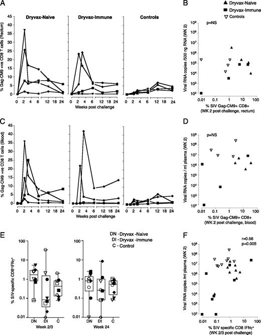 FIGURE 5. No clear association between the SIV-specific CD8 T cell response and viremia in colorectal tissue early after infection. A, Temporal SIV Gag-CM9–specific CD8 T cell responses in the colorectal tissue of Mamu A*01+ animals. B, Correlation between tetramer-specific CD8 T cells and levels of virus in the colorectal tissue. C, Temporal SIV Gag-CM9–specific CD8 T cell responses in blood of Mamu A*01+ animals. D, Correlation between tetramer-specific CD8 T cells and levels of virus in blood. E, SIV (Gag and Env)-specific IFN-γ–producing CD8 T cells in blood. Boxes represent medians with 25th and 75th percentiles for the group. F, Correlation between SIV-specific CD8 T cells and levels of virus in blood. Key to animal names is presented in Fig. 3B. C, control; DI, Dryvax-immune; DN, Dryvax-naive.