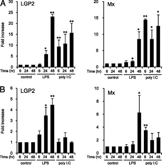 FIGURE 6. Expression of Japanese flounder LGP2 and Mx mRNA in 250 μg/ml LPS-stimulated or 125 μg/ml poly I:C–stimulated Japanese flounder leukocytes isolated from whole kidney (A) and peripheral blood (B) from three fish for 6, 24, and 48 h. Total RNA was processed for Q-PCR. Expression levels are shown as fold increase values relative to the control at the same time point. Error bars indicate the SD for the results of three individual fish. Student t test was used for statistical analysis, and asterisks indicate significant differences between control and LPS- or poly I:C–treated leukocytes of each time point (6, 24, and 48 h). *p < 0.05; **p < 0.01.