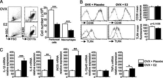 FIGURE 1. Chronic E2 treatment in vivo does not alter the expression of CD36 and TLR4 but enhances the mRNA expression of proinflammatory cytokines by TGC-elicited peritoneal macrophages. A, Flow cytometry analysis of CD11b and F4/80 expression level on TGC-elicited peritoneal cells from either placebo- or E2-treated mice. Total peritoneal cell number was determined with a Neubauer slide, and then the total number of macrophages was assessed according to CD11b and F4/80 staining. B, Flow cytometry analysis of CD36 and TLR4 surface expression on CD11b+ macrophages from either placebo- or E2-treated mice. Results are expressed as means ± SEM from two independent experiments, each including four mice. In dot plots, isotype controls are represented as thin and targets in bold. C, Cells from peritoneal cavity of placebo- or E2-treated mice, injected previously with TGC 2%, were plated. A culture of elicited peritoneal macrophages is obtained 2 h later, washing plates three times. Then cells were lysed, and the mRNA expression of cytokines was quantified by quantitative real-time PCR. Results are normalized according to GAPDH mRNA level, referring to results obtained from TGC-elicited peritoneal macrophages from placebo-treated mice group. Results are expressed as means ± SEM from four independent experiments (between 12 and 14 individual mice were considered in each group). *p < 0.05; **p < 0.005; ***p < 0.0001.